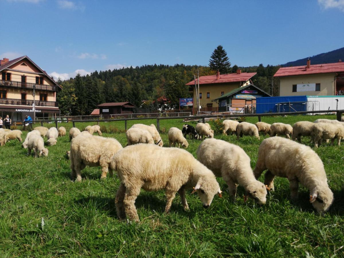 Willa Szymusiowa Szczyrk Appartamento Esterno foto